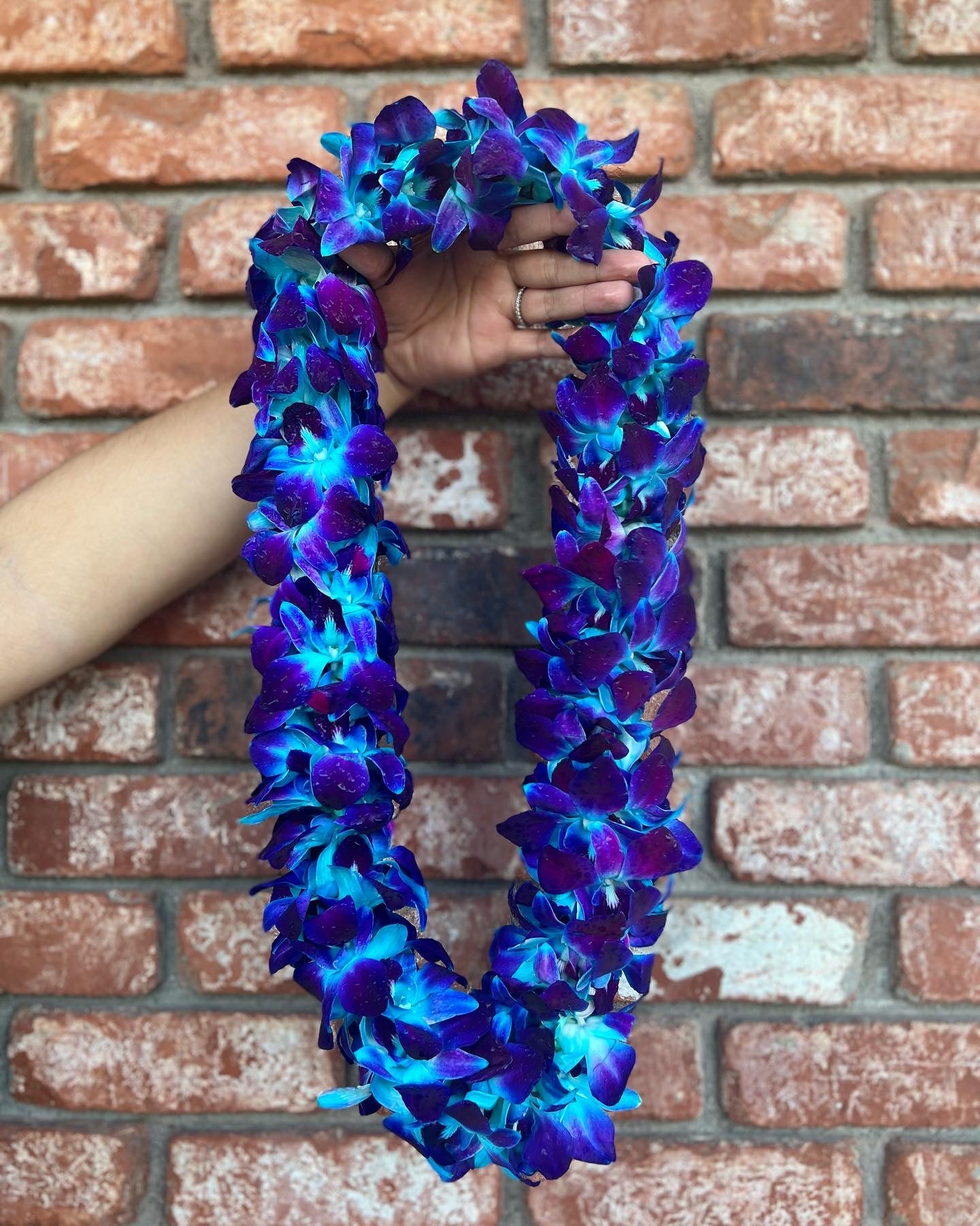 Blue Double Orchid Lei – Sapphire Florist