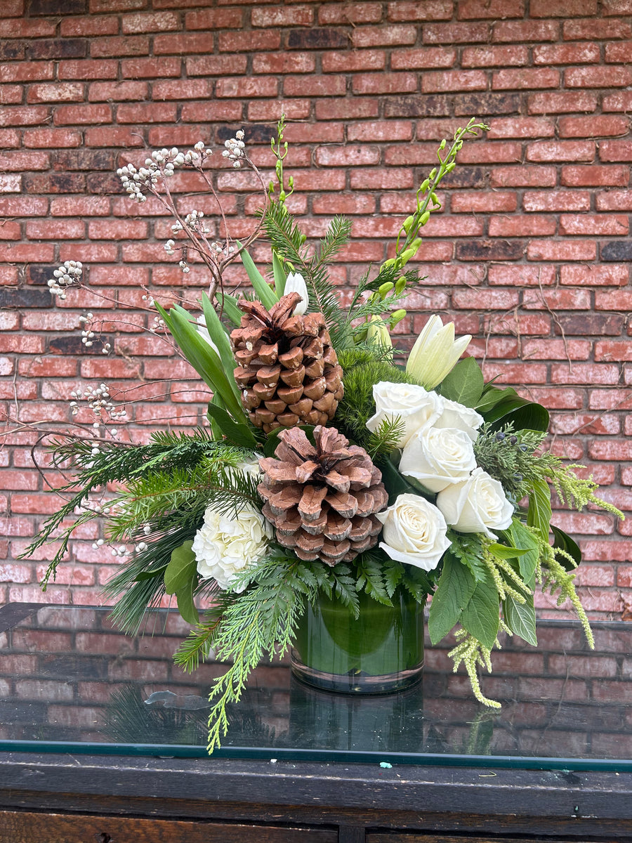 A Evergreen Elegance