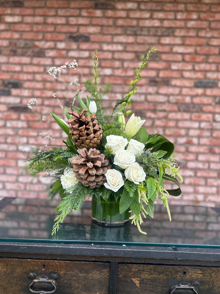 A Evergreen Elegance