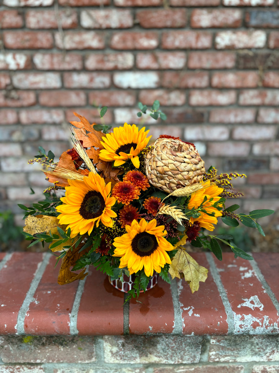 A Harvest Pumpkin