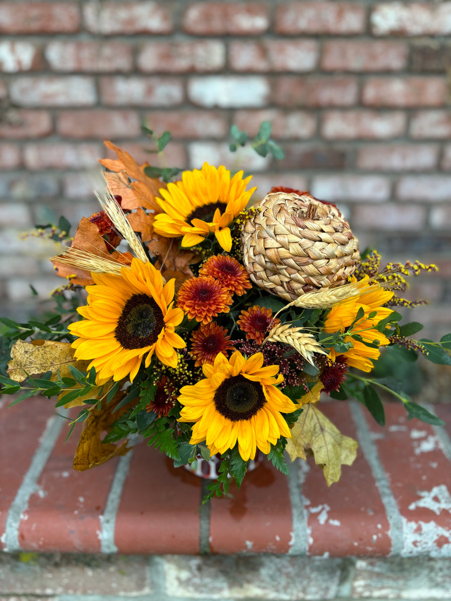 A Harvest Pumpkin