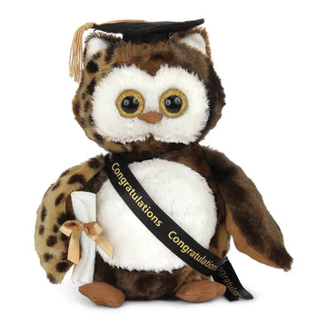 Wisdom Graduation Owl