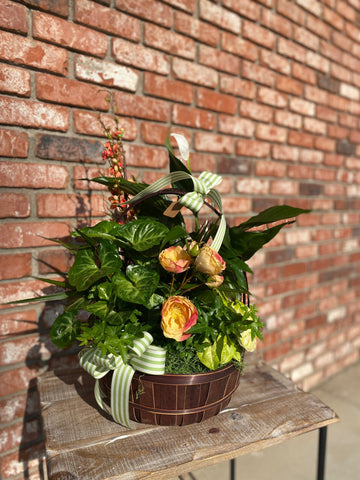 Mixed Green Planter Basket
