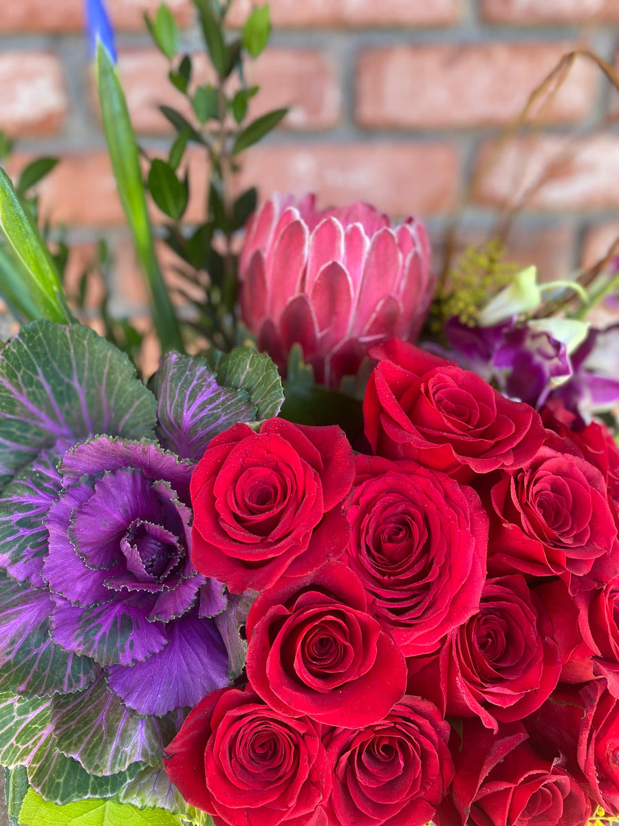 Romantic Radiance