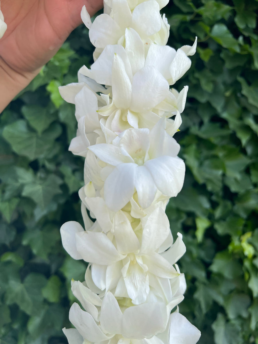 White Double Orchid Lei