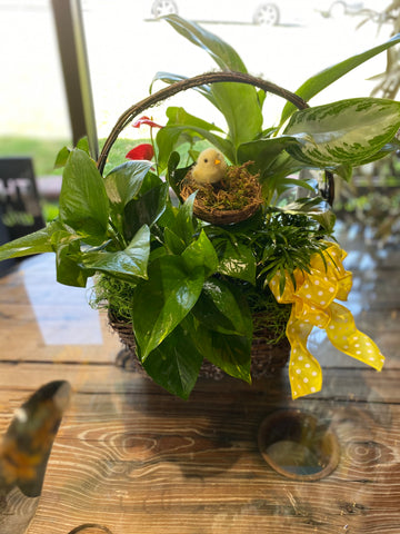Spring Party