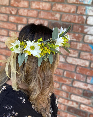 Daisy Crown