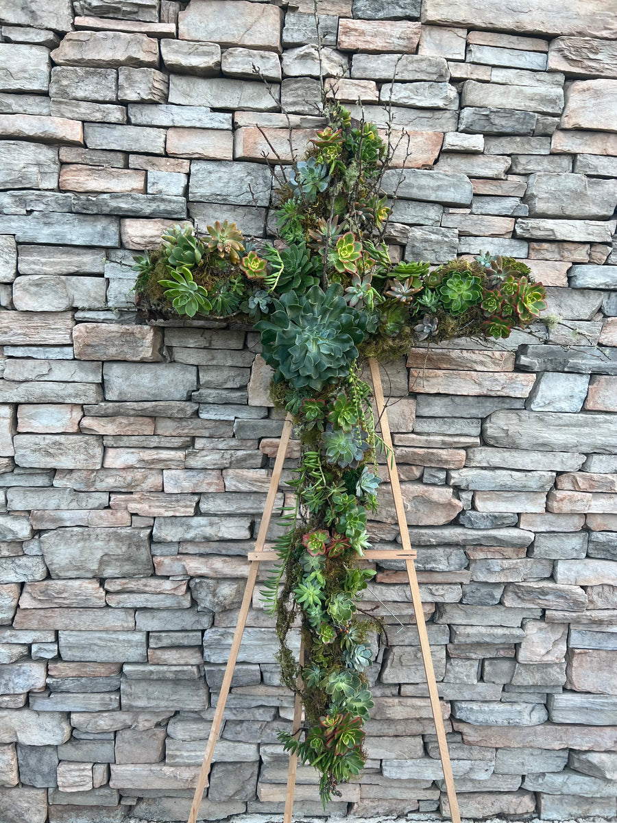 Succulent Cross