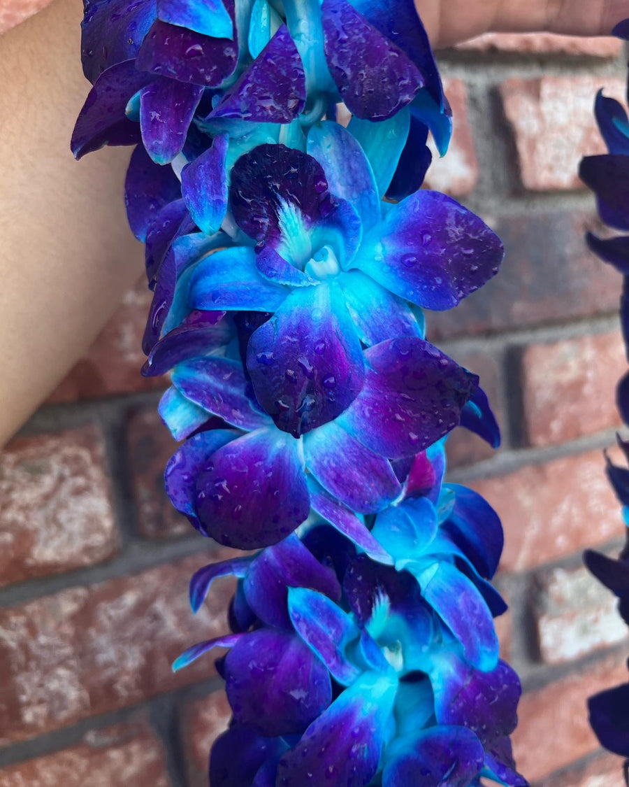 Blue Double Orchid Lei