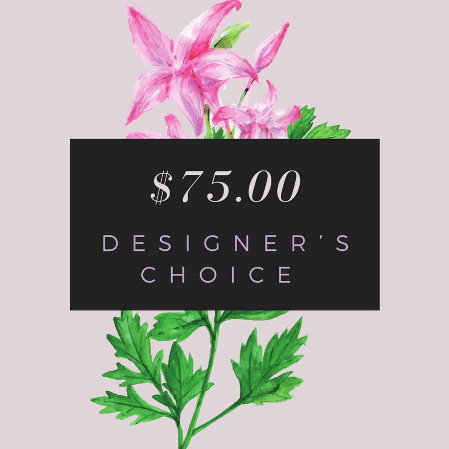Designer’s Choice